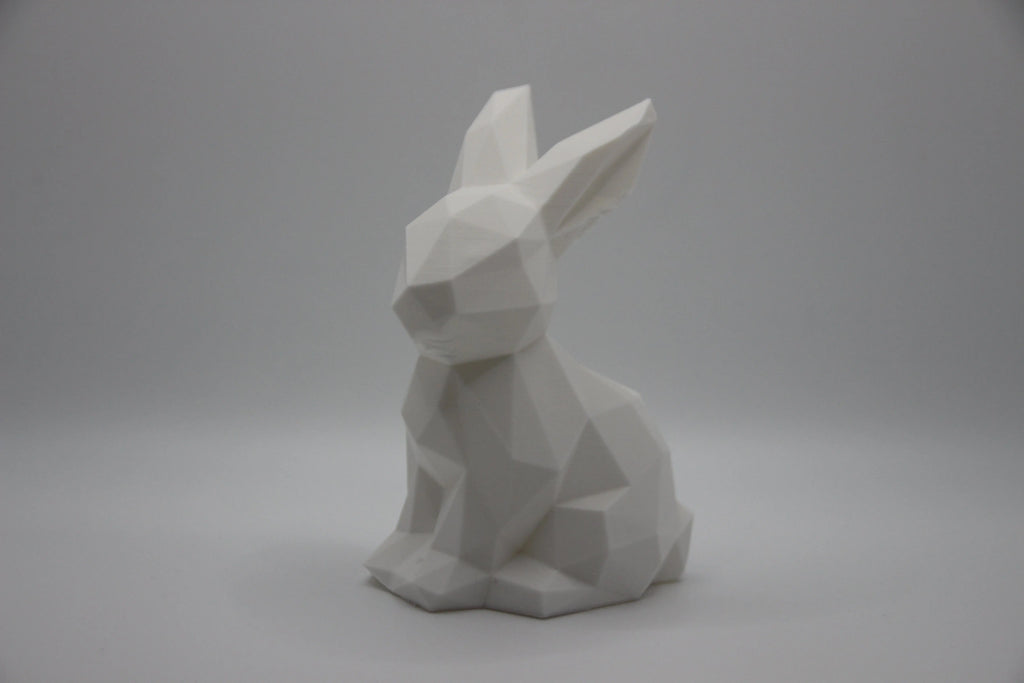 Polygon Hase DEIN-3D