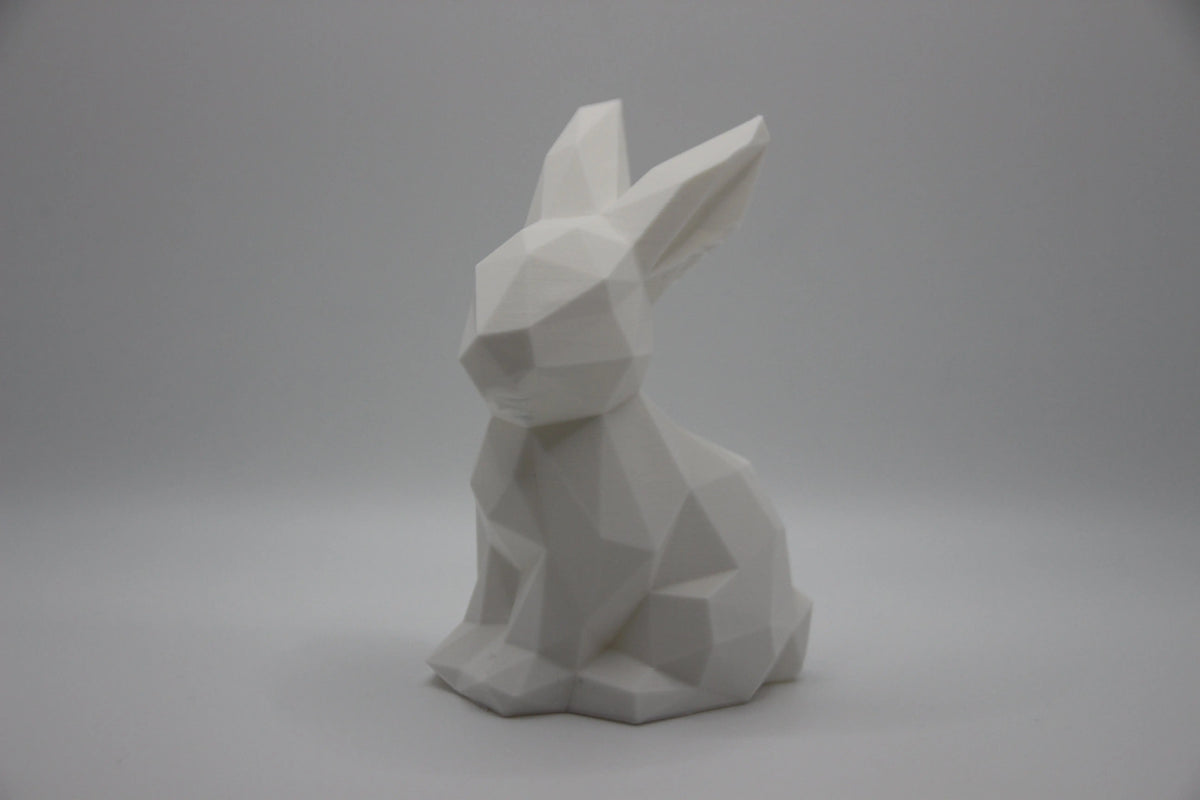 Polygon Hase DEIN-3D