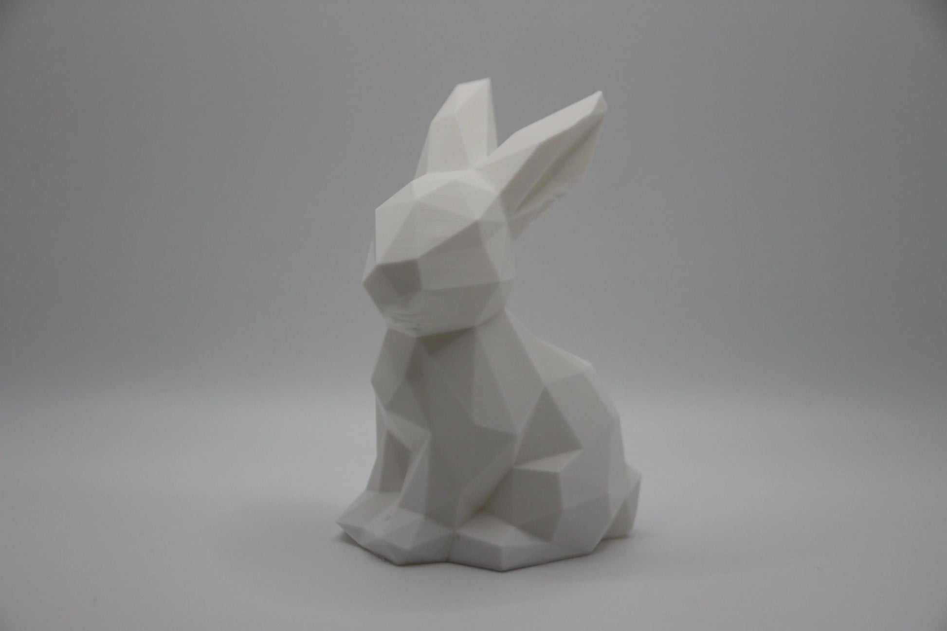 Polygon Hase DEIN-3D