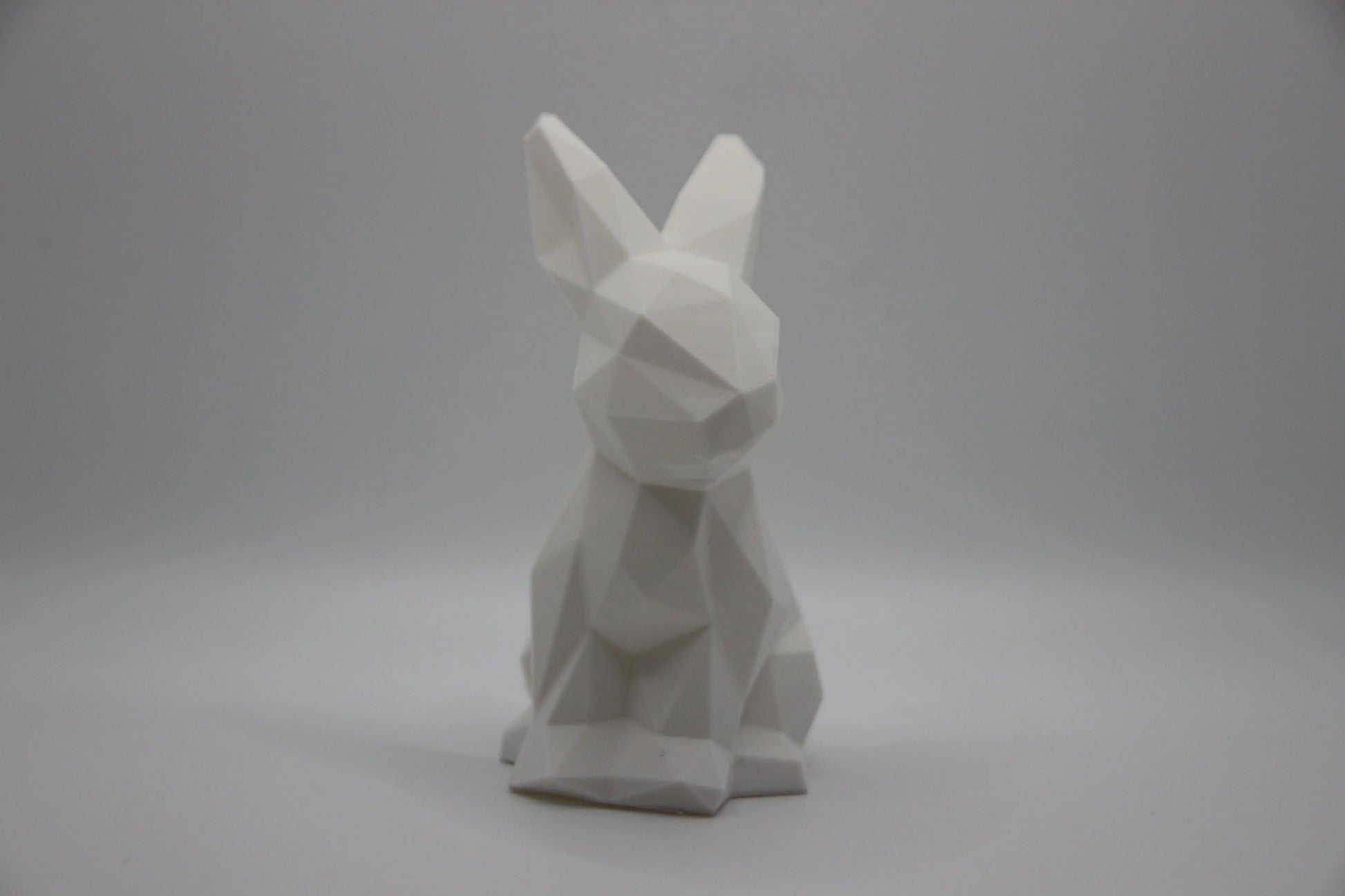 Polygon Hase DEIN-3D