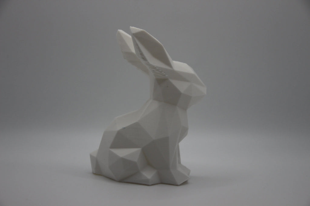 Polygon Hase DEIN-3D