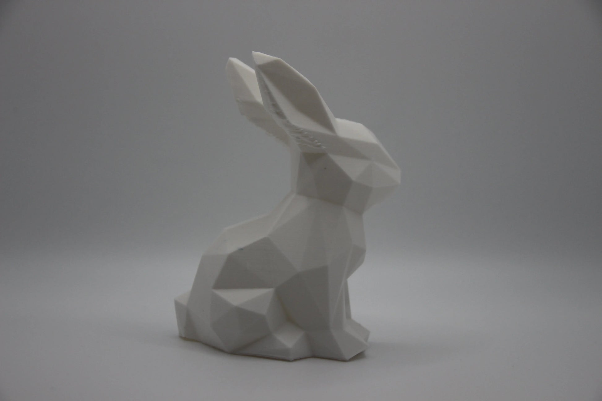 Polygon Hase DEIN-3D